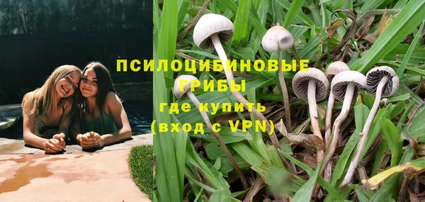 spice Магас