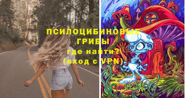хмурый Мегион