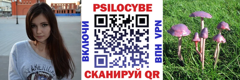 Псилоцибиновые грибы MAGIC MUSHROOMS купить наркотик ссылка на мегу как войти Тихорецк