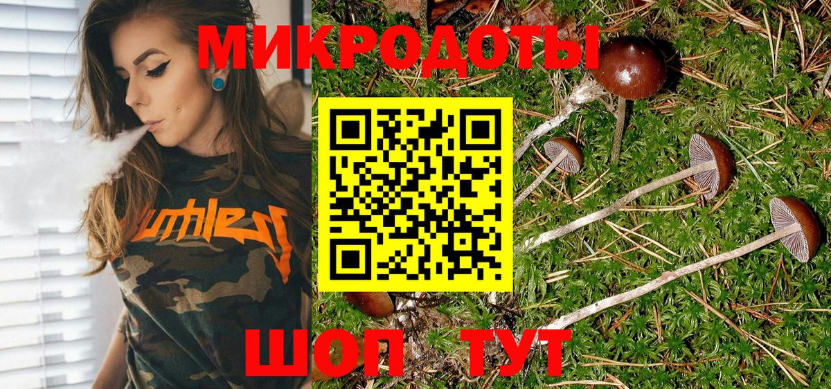 Псилоцибиновые грибы Magic Shrooms Тихорецк