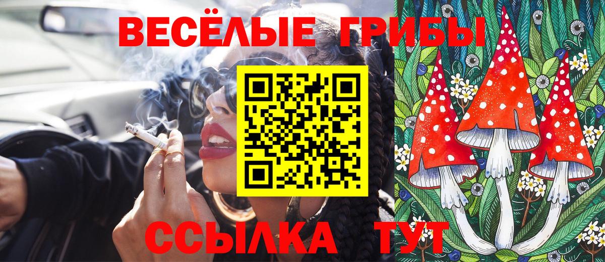 Галлюциногенные грибы мицелий  Вход с VPN  наркотики  Тихорецк 